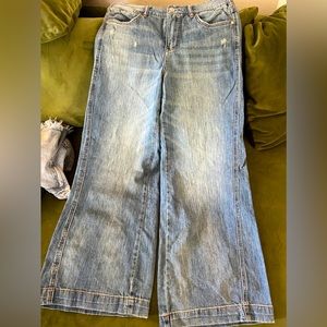 Anthropologie Pilcro wide leg jeans size 29P